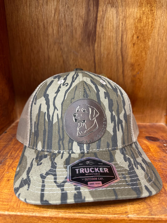 Ole Country Lab/ Gold Label